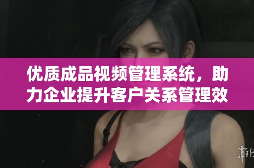 优质成品视频管理系统，助力企业提升客户关系管理效率