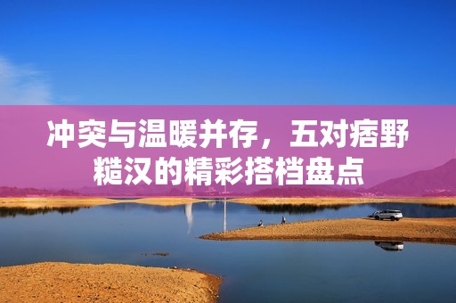 冲突与温暖并存，五对痞野糙汉的精彩搭档盘点