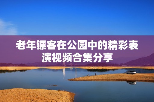 老年镖客在公园中的精彩表演视频合集分享