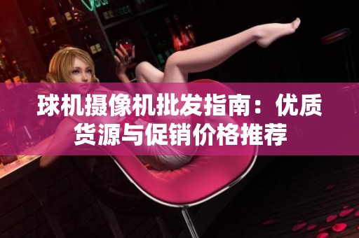 球机摄像机批发指南：优质货源与促销价格推荐