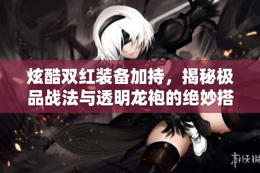 炫酷双红装备加持，揭秘极品战法与透明龙袍的绝妙搭配