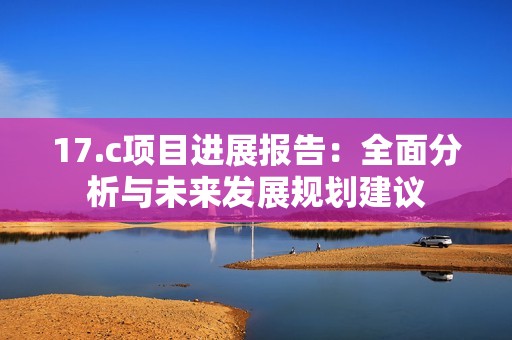17.c项目进展报告：全面分析与未来发展规划建议