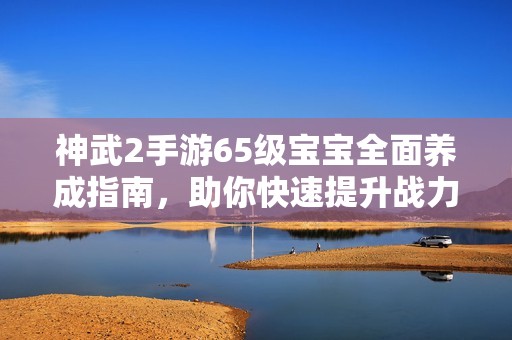 神武2手游65级宝宝全面养成指南，助你快速提升战力