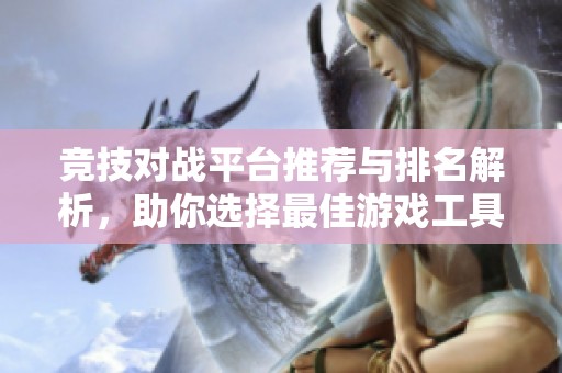 竞技对战平台推荐与排名解析，助你选择最佳游戏工具