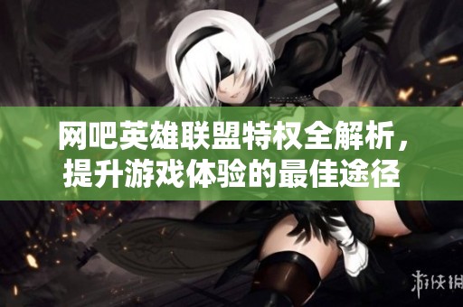 网吧英雄联盟特权全解析，提升游戏体验的最佳途径
