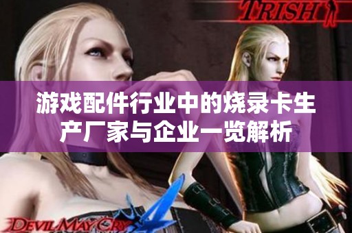 游戏配件行业中的烧录卡生产厂家与企业一览解析 游戏配件行业中的烧录卡生产厂家与企业一览解析