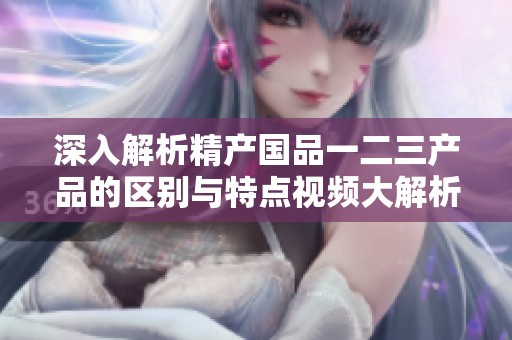 深入解析精产国品一二三产品的区别与特点视频大解析
