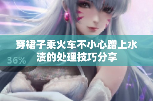 穿裙子乘火车不小心蹭上水渍的处理技巧分享