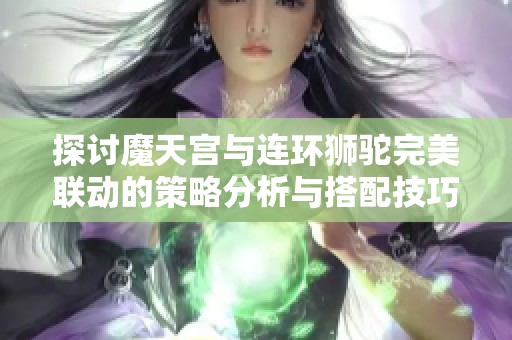 探讨魔天宫与连环狮驼完美联动的策略分析与搭配技巧