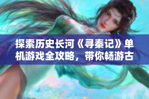 探索历史长河《寻秦记》单机游戏全攻略，带你畅游古秦世界