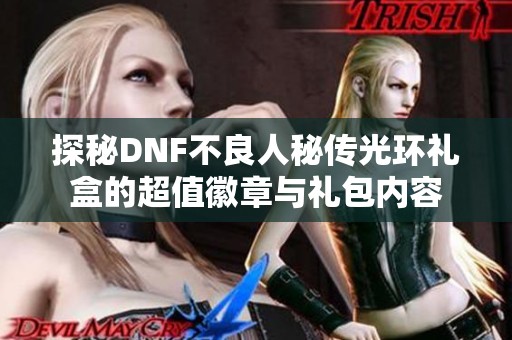 探秘DNF不良人秘传光环礼盒的超值徽章与礼包内容