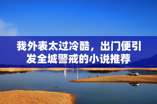 我外表太过冷酷，出门便引发全城警戒的小说推荐