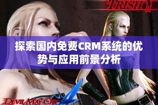 探索国内免费CRM系统的优势与应用前景分析