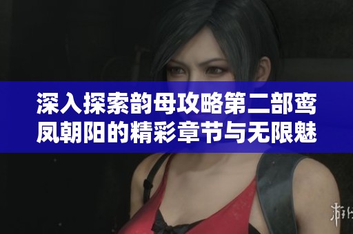 深入探索韵母攻略第二部鸾凤朝阳的精彩章节与无限魅力