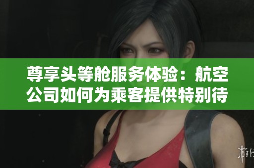 尊享头等舱服务体验：航空公司如何为乘客提供特别待遇