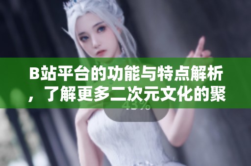 B站平台的功能与特点解析，了解更多二次元文化的聚集地