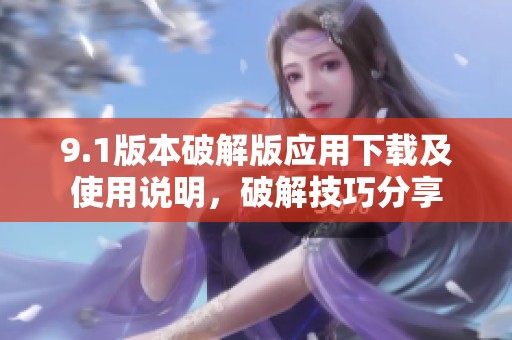 9.1版本破解版应用下载及使用说明，破解技巧分享