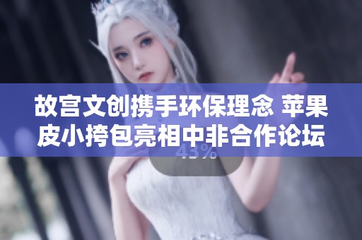 故宫文创携手环保理念 苹果皮小挎包亮相中非合作论坛峰会
