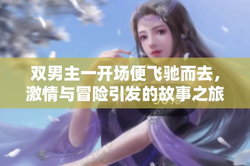 双男主一开场便飞驰而去，激情与冒险引发的故事之旅