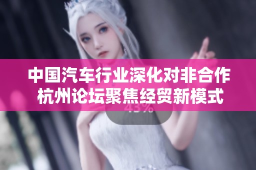 中国汽车行业深化对非合作 杭州论坛聚焦经贸新模式
