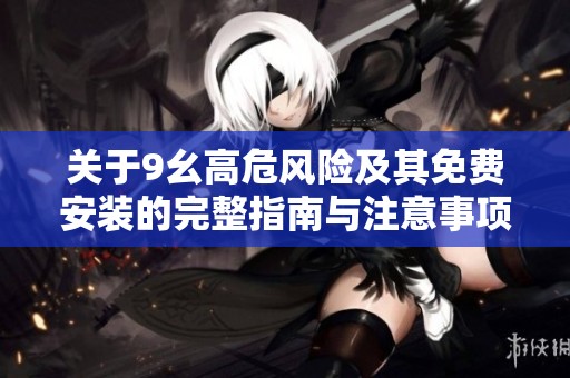 关于9幺高危风险及其免费安装的完整指南与注意事项