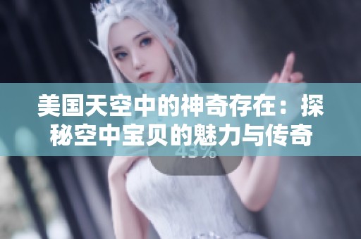 美国天空中的神奇存在：探秘空中宝贝的魅力与传奇