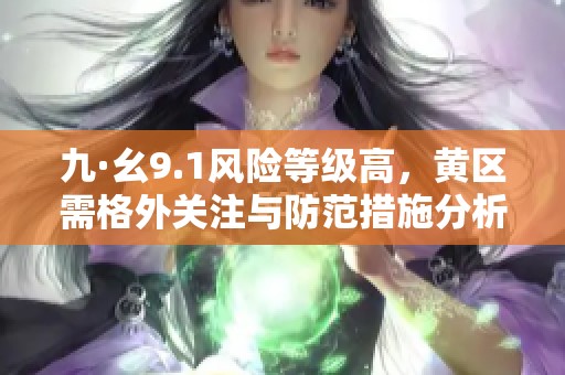 九·幺9.1风险等级高，黄区需格外关注与防范措施分析