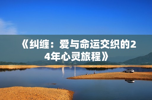 《纠缠：爱与命运交织的24年心灵旅程》