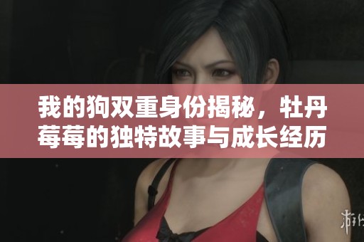 我的狗双重身份揭秘，牡丹莓莓的独特故事与成长经历