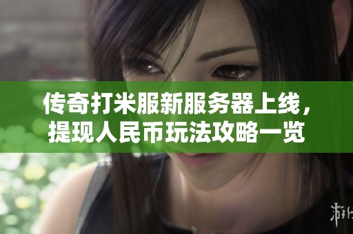 传奇打米服新服务器上线，提现人民币玩法攻略一览