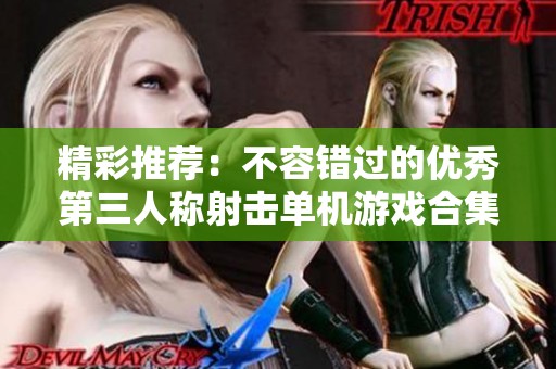 精彩推荐：不容错过的优秀第三人称射击单机游戏合集
