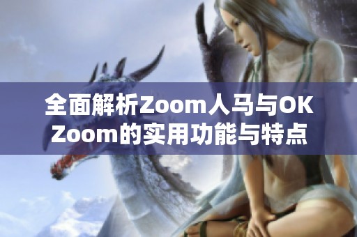 全面解析Zoom人马与OKZoom的实用功能与特点