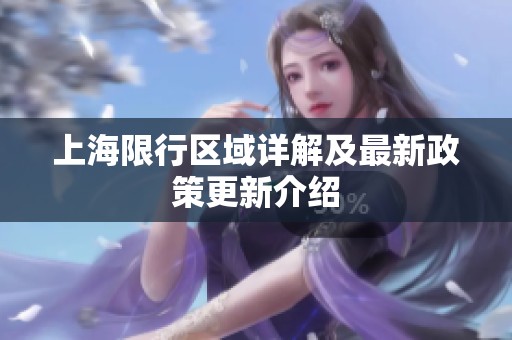 上海限行区域详解及最新政策更新介绍