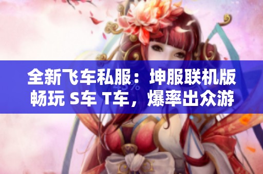 全新飞车私服：坤服联机版畅玩 S车 T车，爆率出众游戏稳定性极佳
