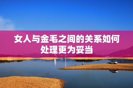 女人与金毛之间的关系如何处理更为妥当