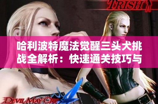 哈利波特魔法觉醒三头犬挑战全解析：快速通关技巧与策略分享