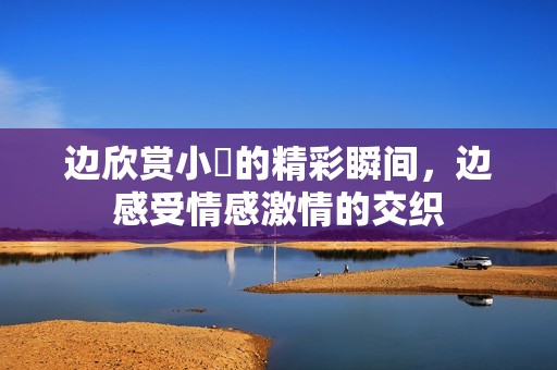 边欣赏小泬的精彩瞬间，边感受情感激情的交织