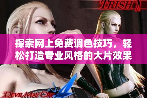 探索网上免费调色技巧，轻松打造专业风格的大片效果