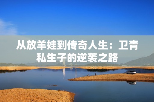 从放羊娃到传奇人生：卫青私生子的逆袭之路
