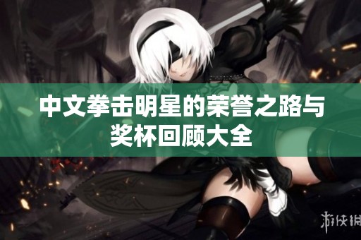 中文拳击明星的荣誉之路与奖杯回顾大全