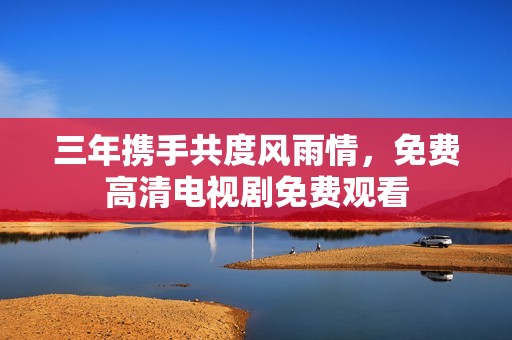 三年携手共度风雨情，免费高清电视剧免费观看