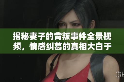 揭秘妻子的背叛事件全景视频，情感纠葛的真相大白于天下