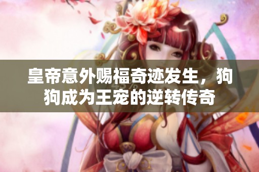 皇帝意外赐福奇迹发生，狗狗成为王宠的逆转传奇