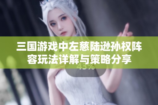 三国游戏中左慈陆逊孙权阵容玩法详解与策略分享