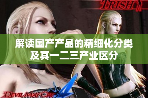 解读国产产品的精细化分类及其一二三产业区分