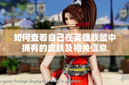 如何查看自己在英雄联盟中拥有的皮肤及相关信息
