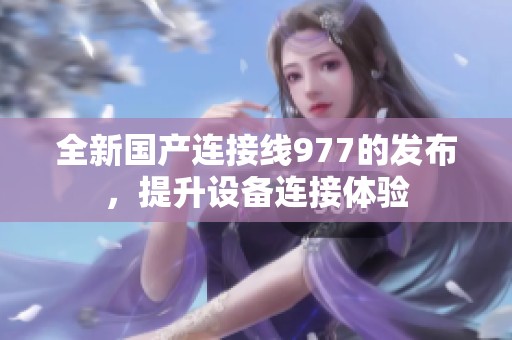 全新国产连接线977的发布，提升设备连接体验