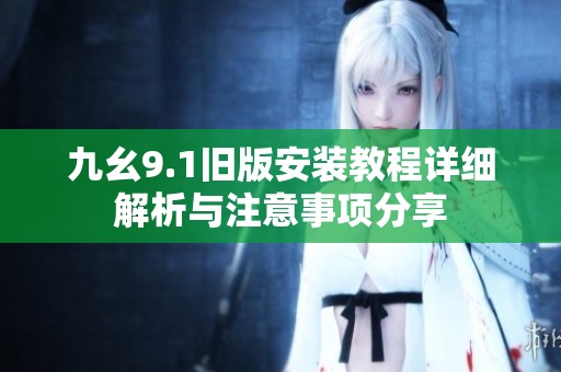 九幺9.1旧版安装教程详细解析与注意事项分享
