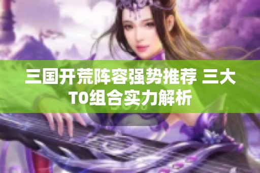 三国开荒阵容强势推荐 三大T0组合实力解析