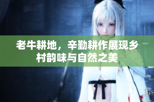 老牛耕地，辛勤耕作展现乡村韵味与自然之美